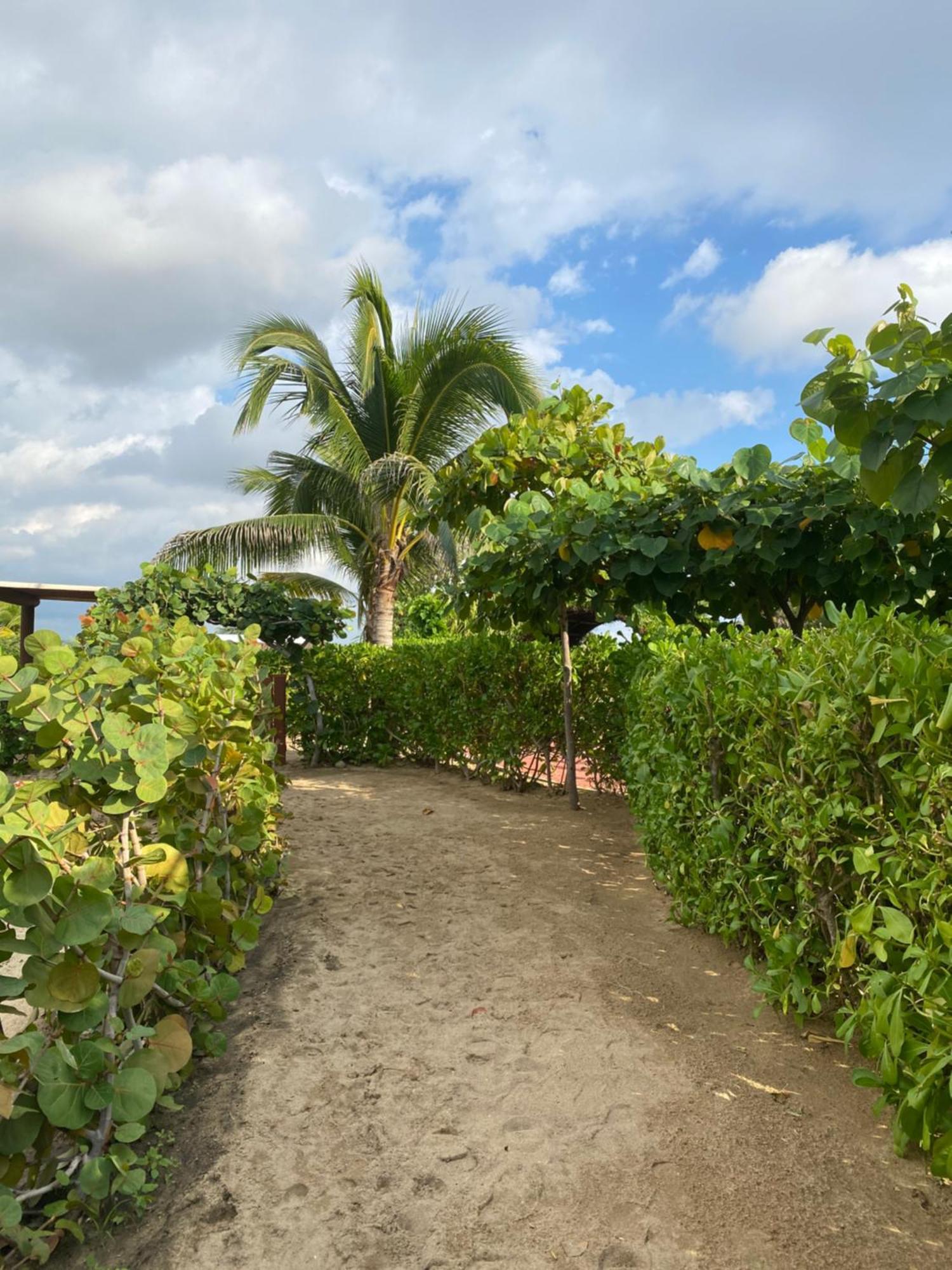 El Origen Villas & Spa-Puerto Escondido 埃斯孔迪多港 外观 照片