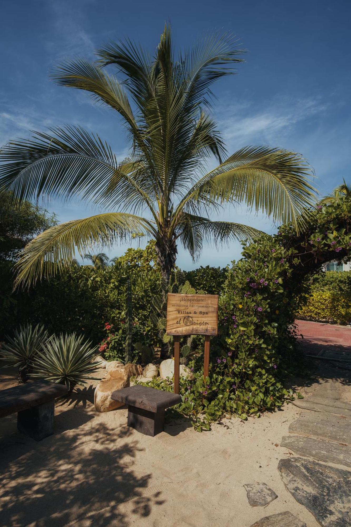El Origen Villas & Spa-Puerto Escondido 埃斯孔迪多港 外观 照片